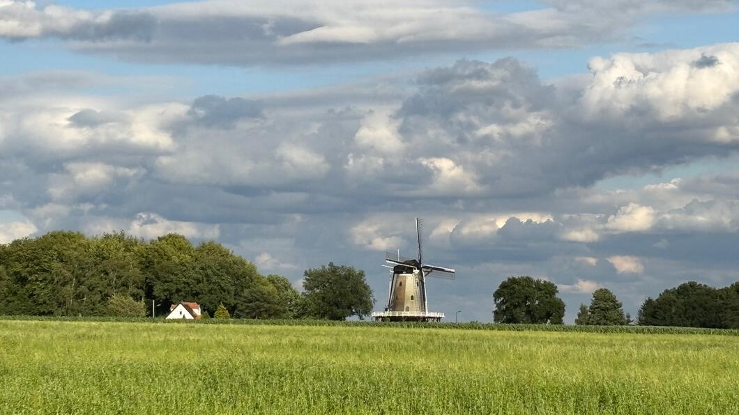 Soest Engh