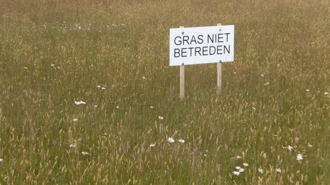 Grasnietbetreden.jpg