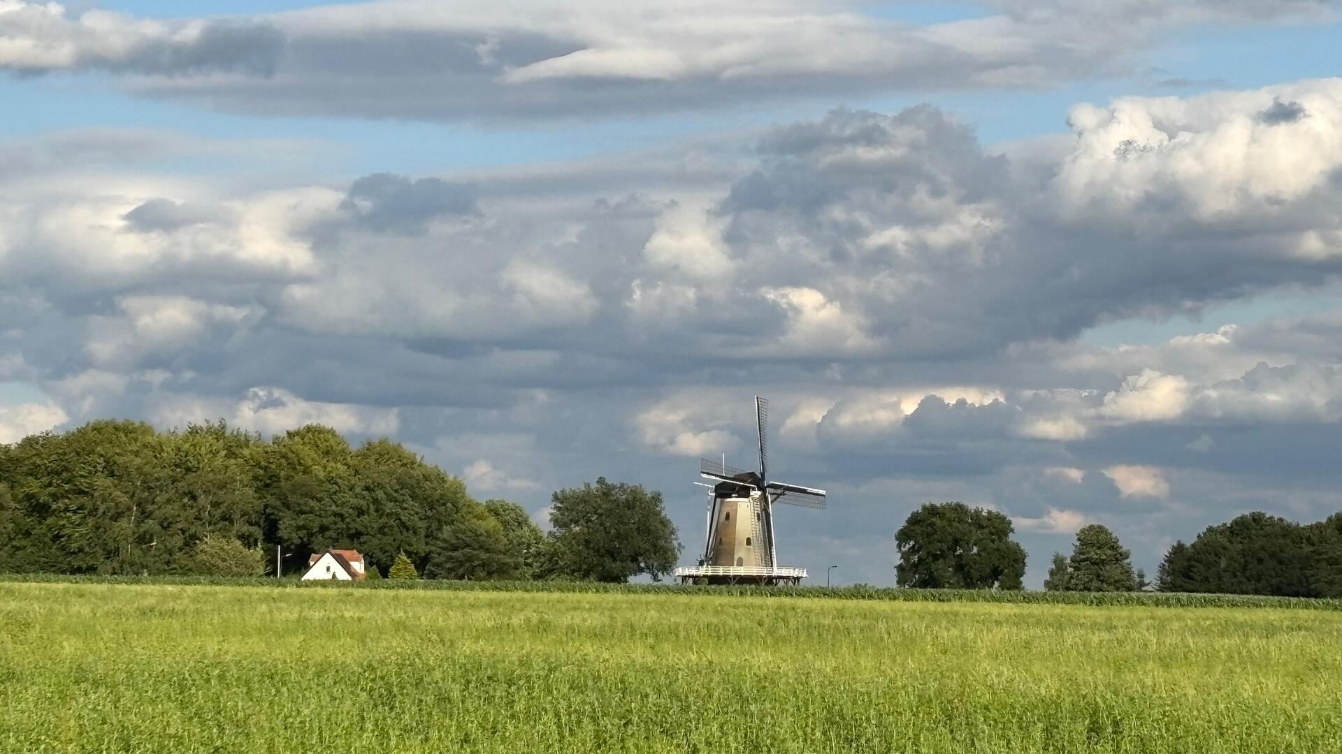 Soest Engh